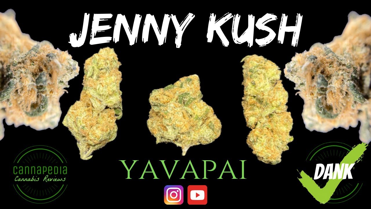 Jenny Kush Strain Review - Yavapai - Cannapedia