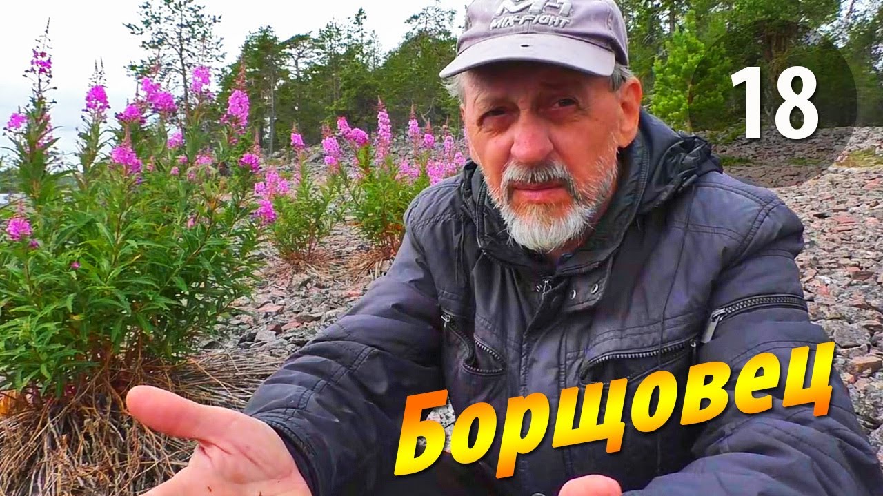 #18 Первый день на Борщовце - Чупинская кругосветка 2025