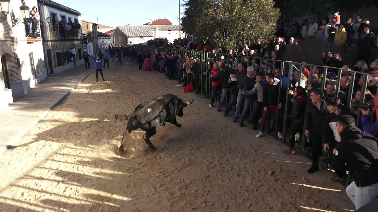 Horcajo de las Torres (Ávila) Fiestas Toro de San Julián 6 Enero 2024