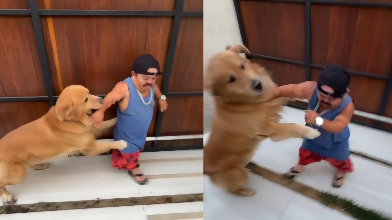 LEONCIO SOLTA CACHORRO GIGANTE EM PILILIU E ELE FICA DESESPERADO 😂