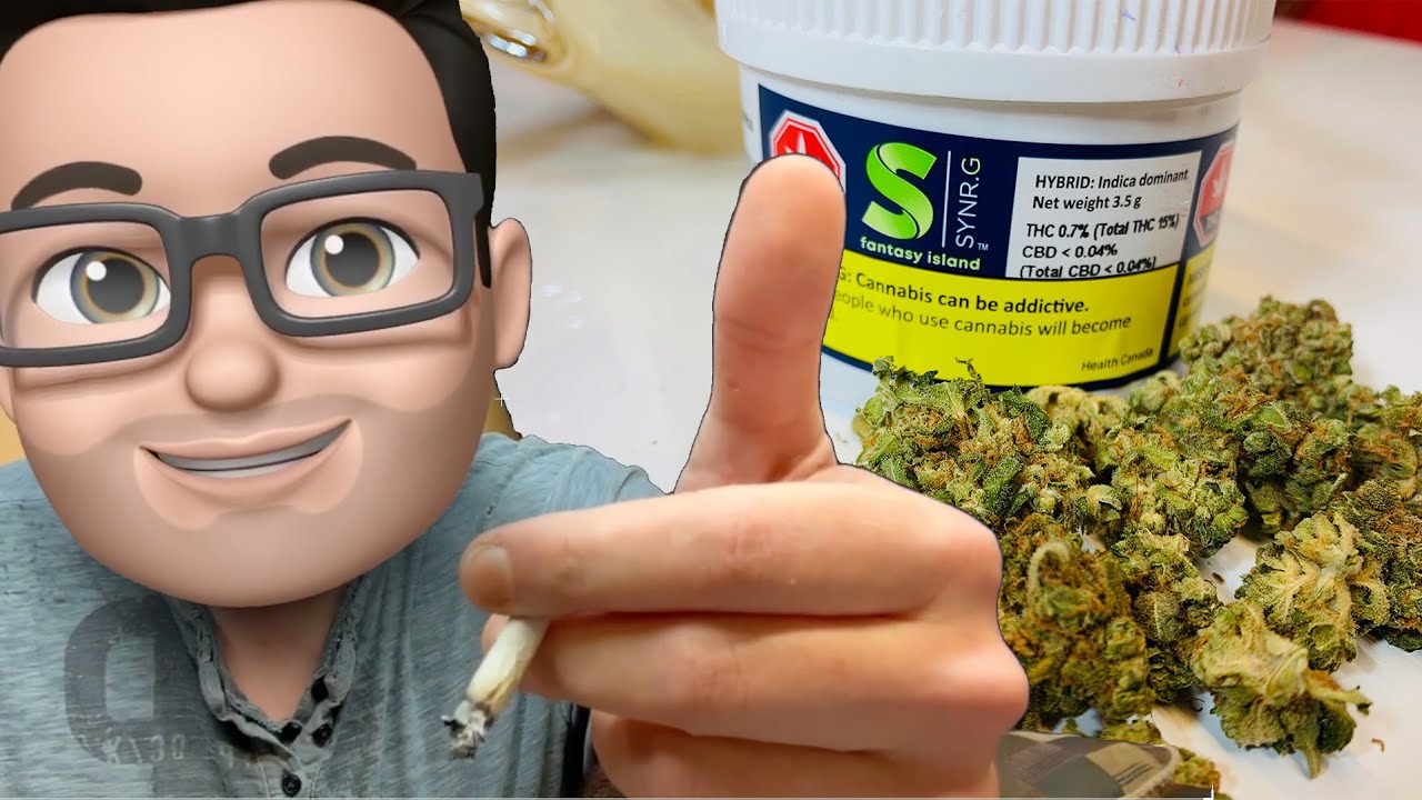 Fantasy Island by Synr.G Reviewed | OCS Review