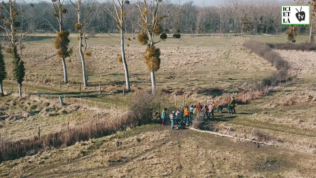 Ici et Là TV - Portes ouvertes Salon à la Ferme Bergers de la Veude - 04032021