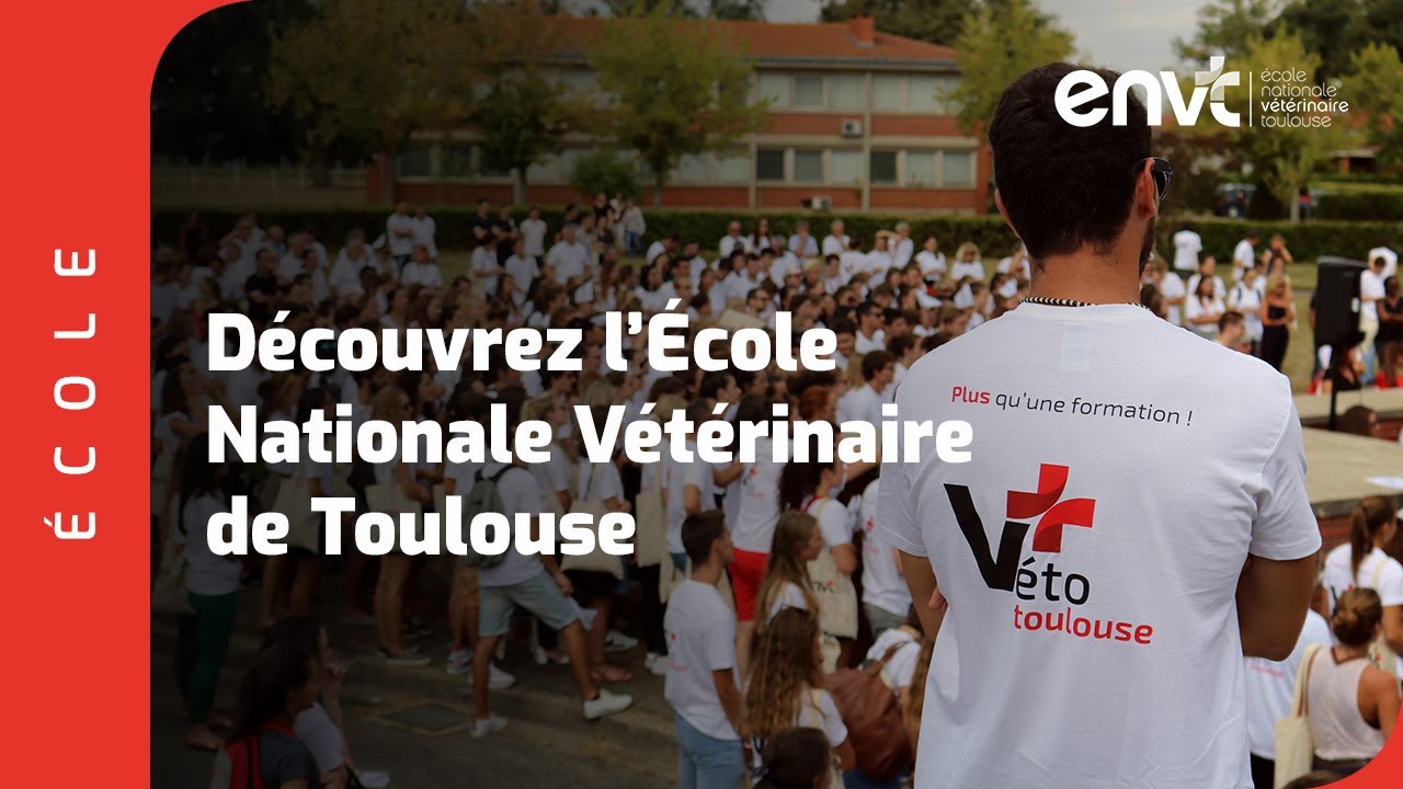 Découvrez l'École Nationale Vétérinaire de Toulouse