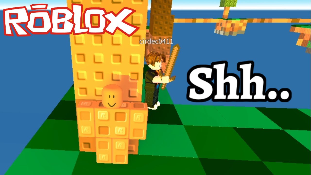 Roblox Skywars CAMOUFLAGE Trolling (MEMES)