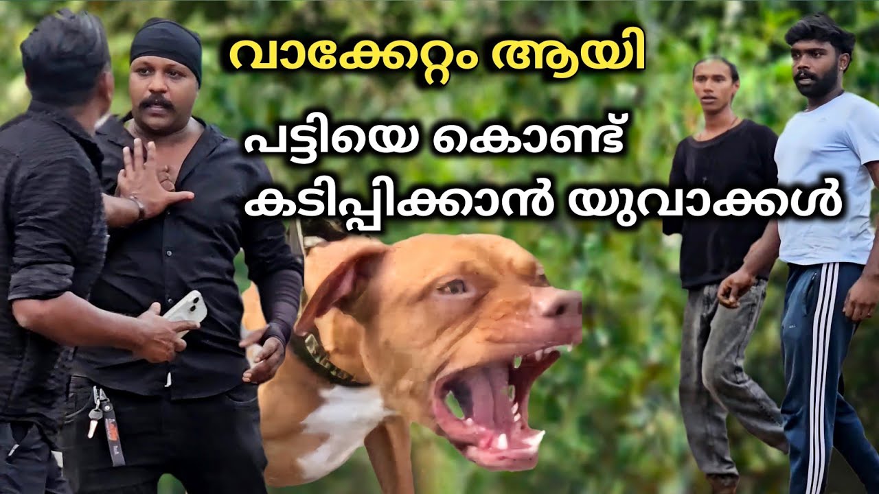 വഴിയേ പോയ വള്ളി പിടിച്ചു..APBT നിരോധിത നായയുമായി CHALLENGE.. Leash Talks