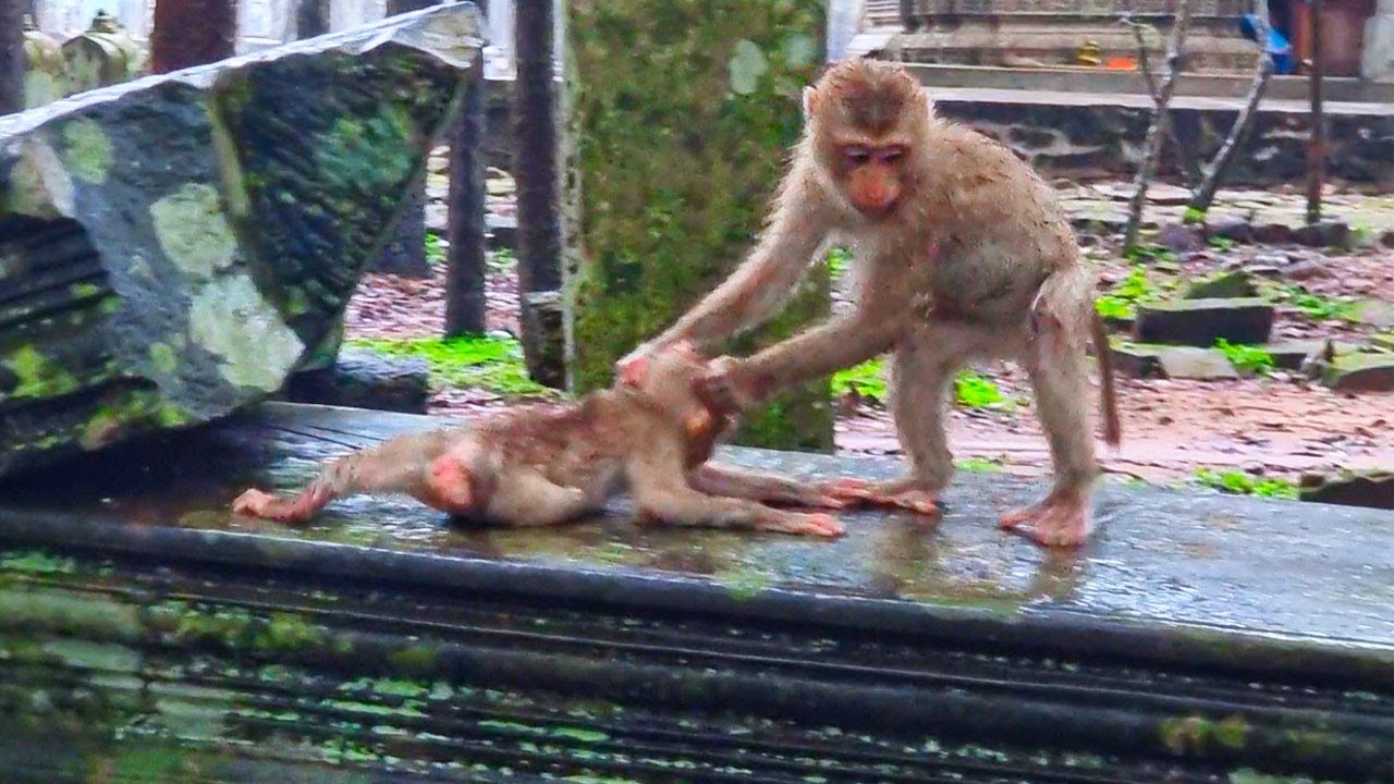 B@d Jovi F** play b@d on LIly.! Lily c-r-y looking mama Libby help her out from Jovi