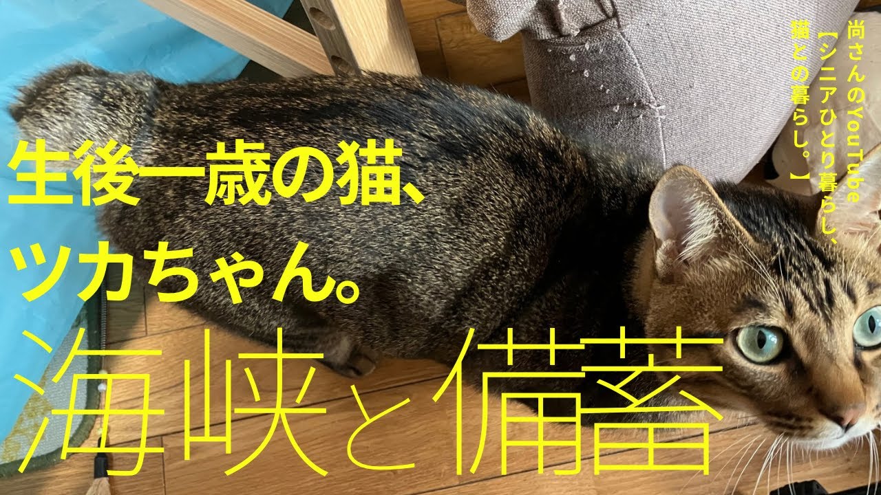 海峡封鎖の備蓄追加の一例。嗜好品はないとつらい。