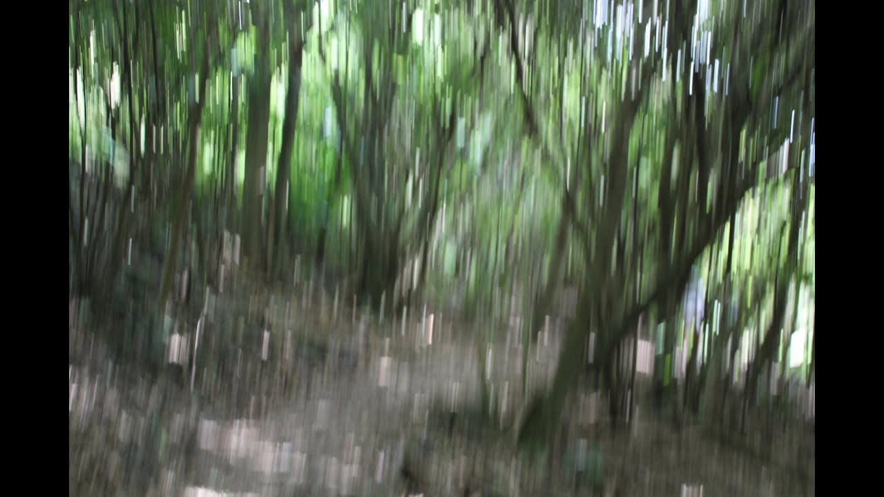 NATUREGAZE: Shoegaze-and-Adjacent Deep-Cuts You Could Feasibly Enjoy the Outdoors To