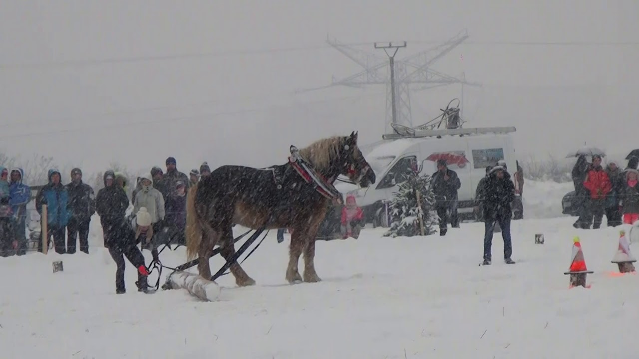 Furmanky z Kľačianskej podkovy 2019