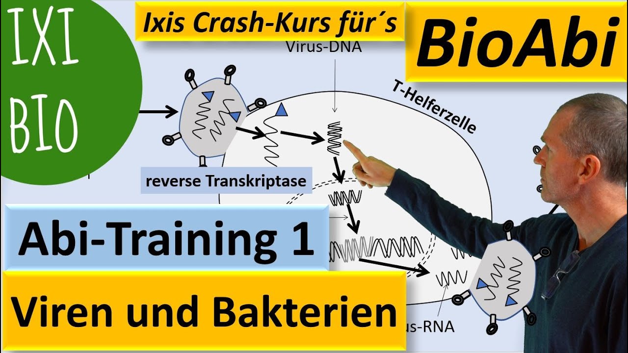 Viren und Bakterien - lysogener lytischer Zyklus - Anwendung - Biologie Abitur - Training Bio Abi