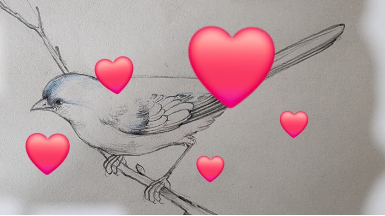 قلب و بلبل...طراحی :علیرضا قزی...دیماه ۱۴۰۳