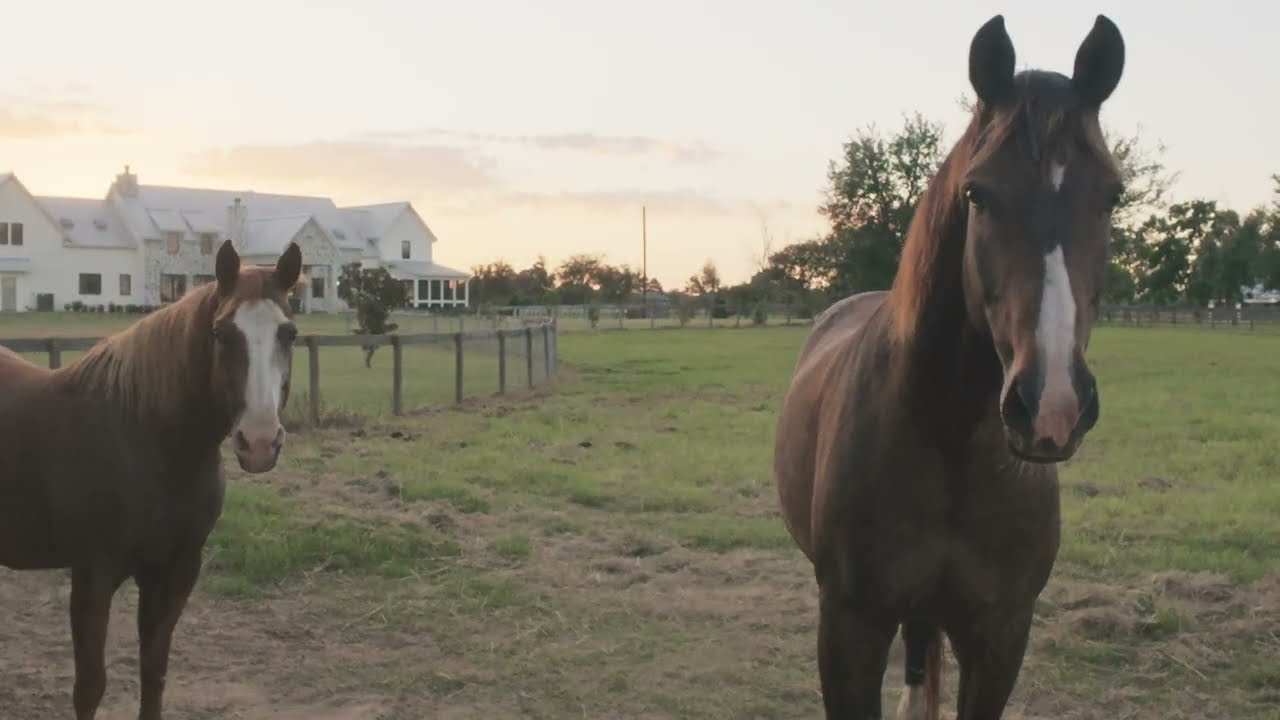 Custom Equestrian Estate! Built in 2024!