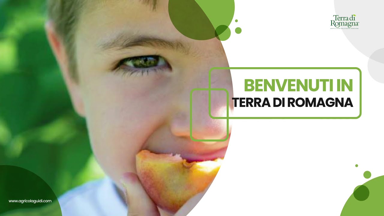 Terra di Romagna | azienda agricola emilia romagna | Guidi di Roncofreddo
