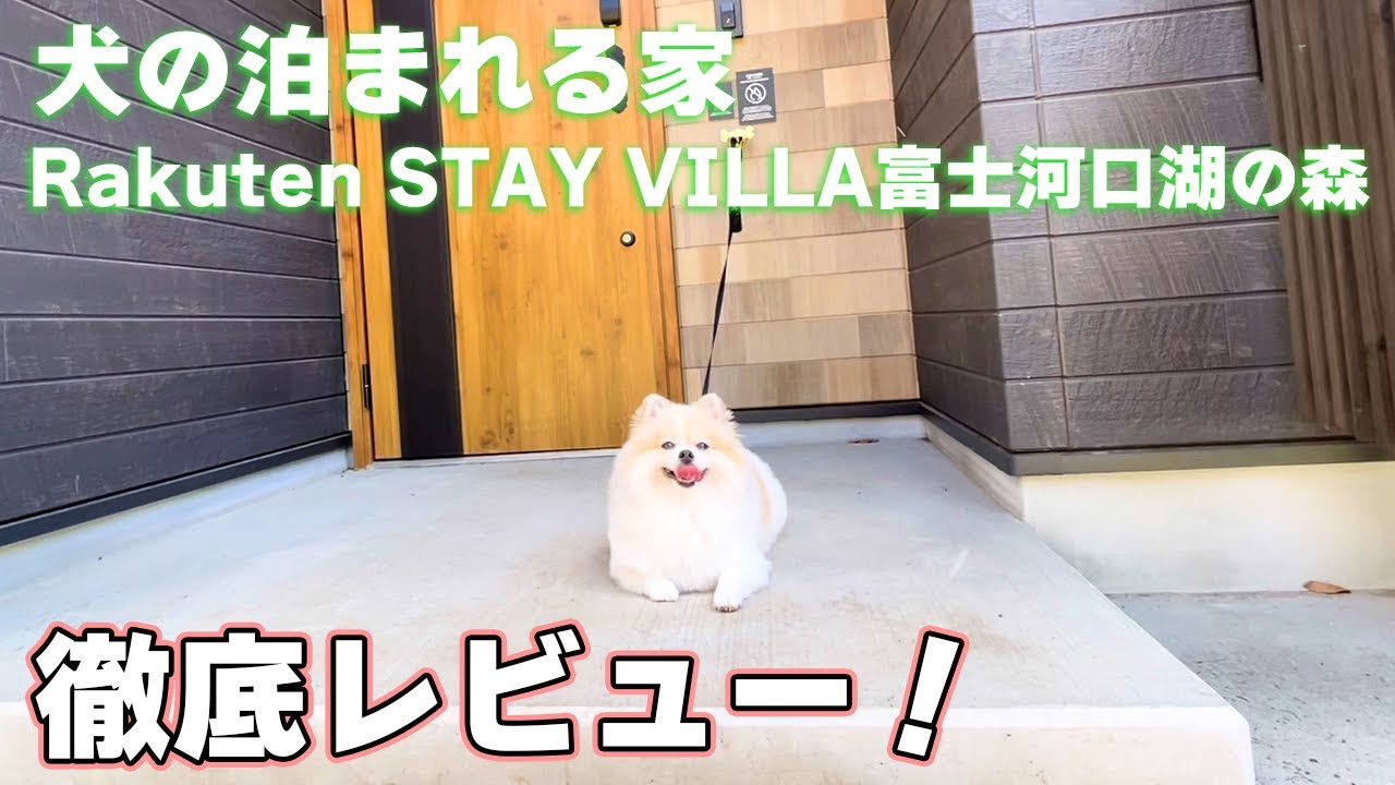 【ガチレビュー】Rakuten STAY VILLA 富士河口湖の森にこれから行く人へ！