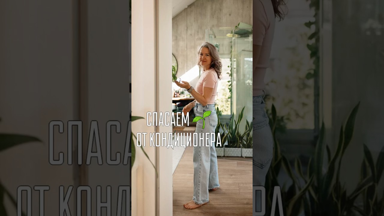 Кондиционер и растения