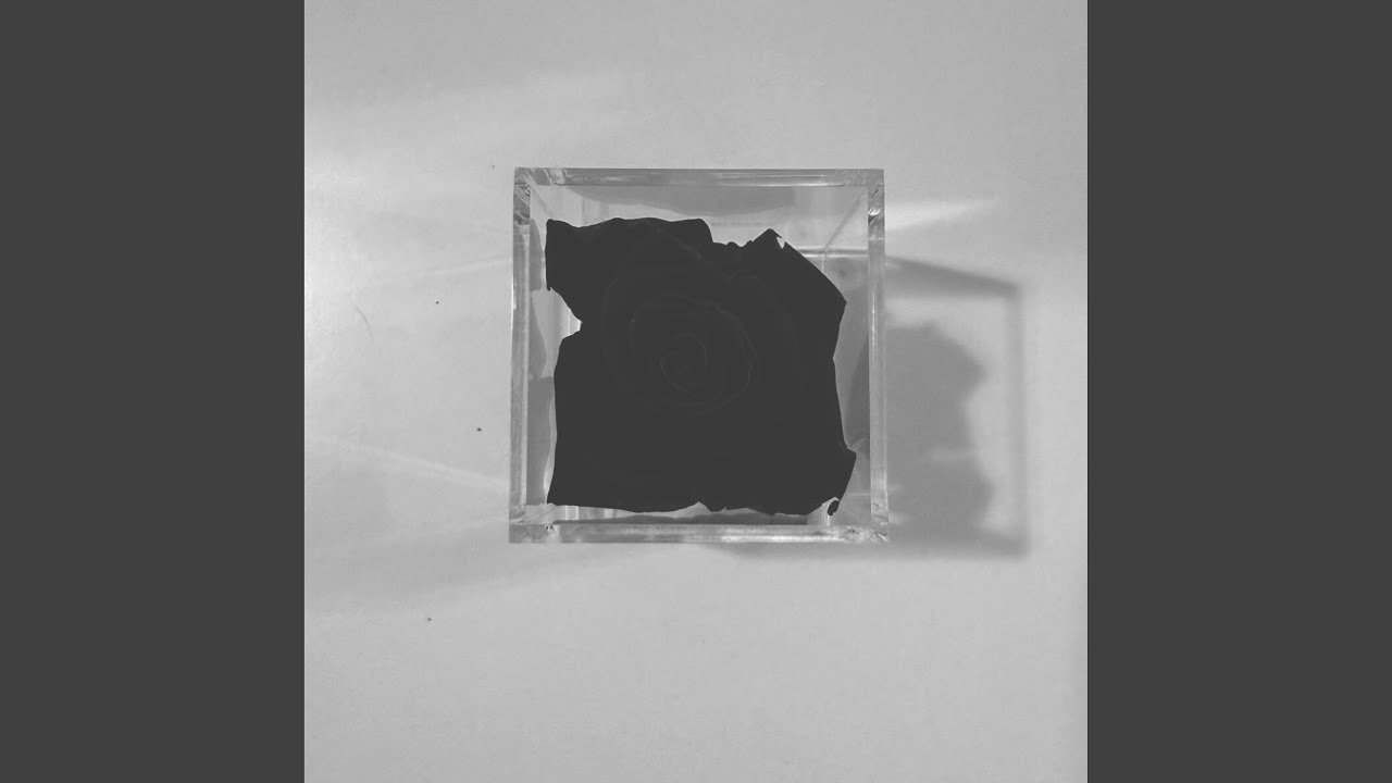 Porcelain & Pain