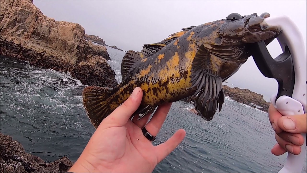 Fishing By Carmel CA!!