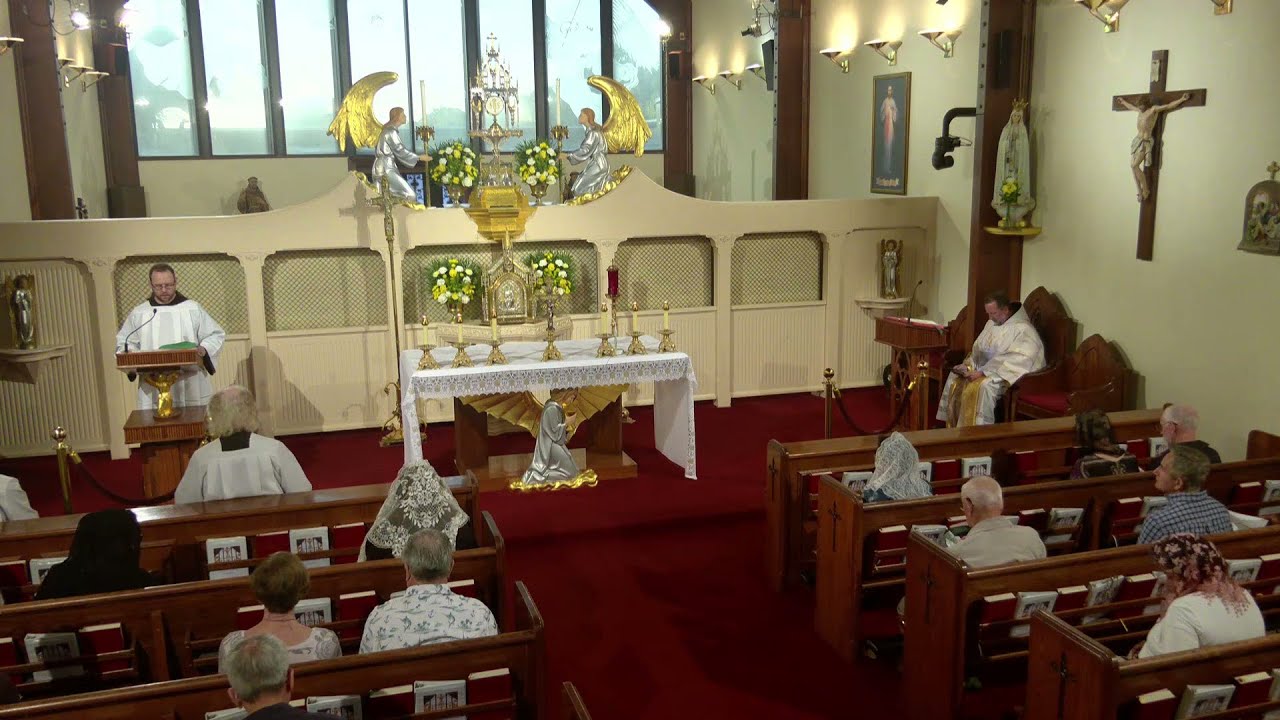 Daily Readings and Homily - 2025-09-29 - Fr. Mark