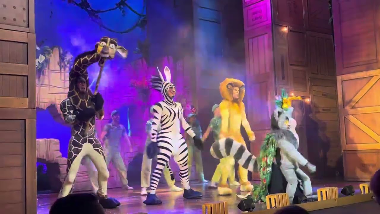 Madagascar the musical Curtain call Sunday 19th￼￼ may 3 pm Performance￼ Stoke regent theatre ￼