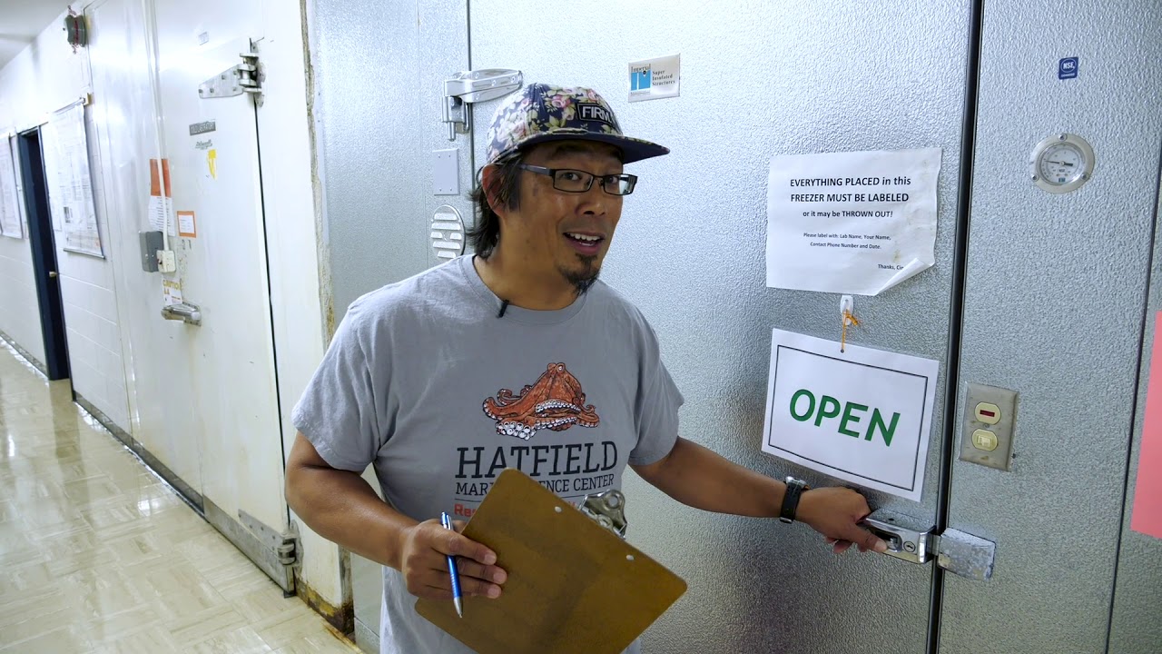 Opportunities at the Coast: A Virtual Tour of OSU's Hatfield Marine Science Center Academic Programs