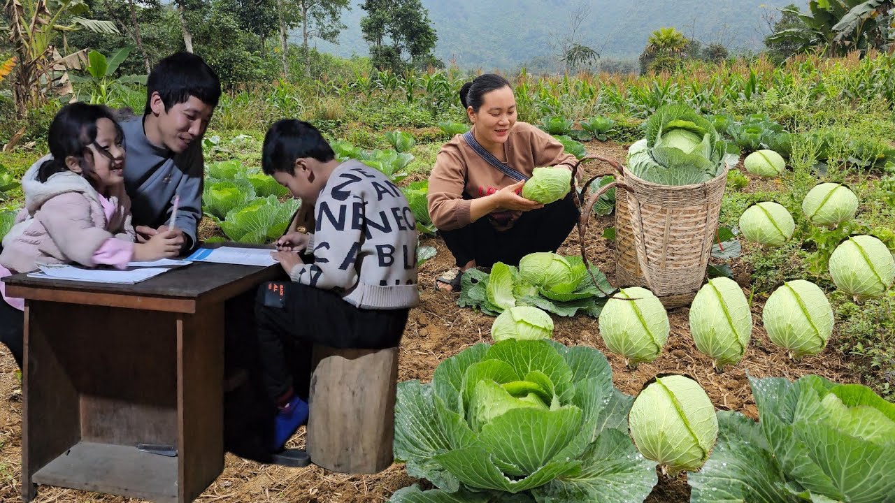 The girl sells cabbage and makes cabbage rolls that the whole family loves.