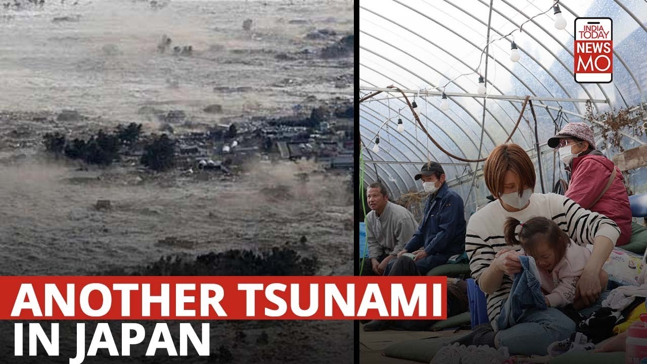 2024 Sea Of Japan Earthquake: Why Japan Is Prone To Earthquakes And Tsunamis | NewsMo