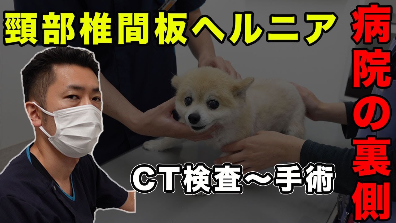頸部椎間板ヘルニア　CT検査から手術