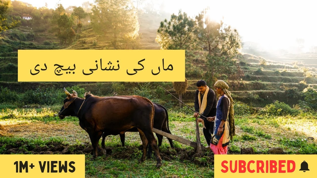 ماں کی نشانی بیچ دی | غربت، قربانی اور محبت کی درد بھری کہانی#youtube#new