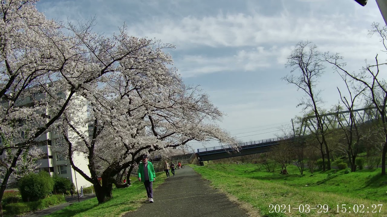 多摩川羽村堰～立川