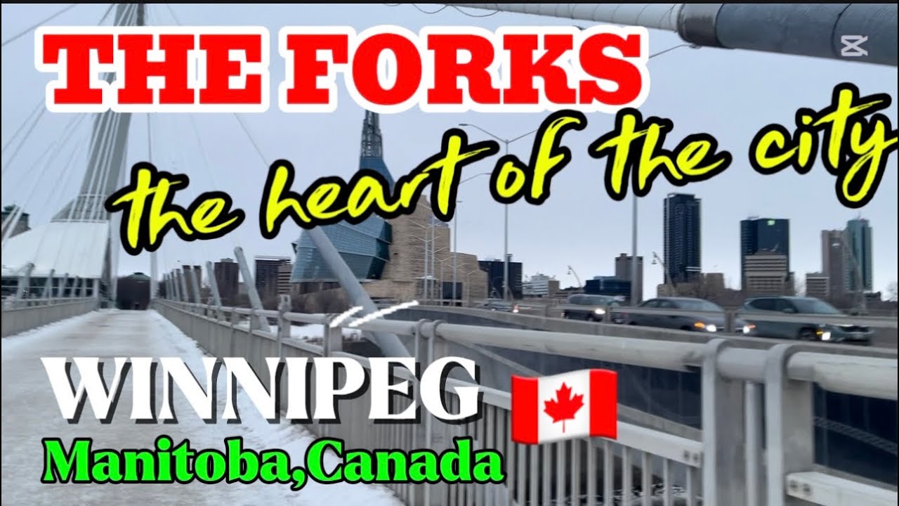 WINTER DAYS AT THE FORKS/NATIONAL HISTORIC SITE THE HEART OF THE CITY #winnipegmanitoba #canada 