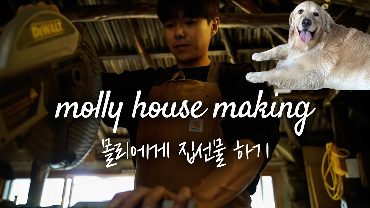대형견 집 직접 만들기. 제주도에서 몰리집 직접 제작하기.