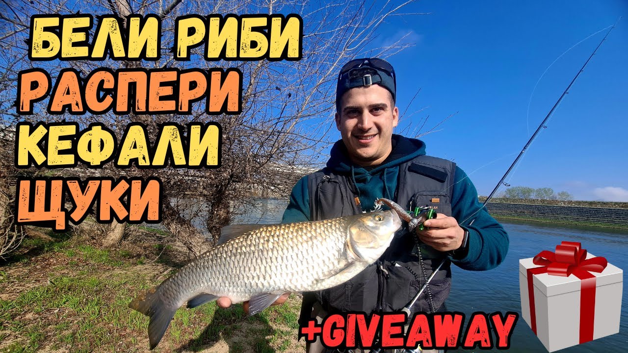 РЕЧНИ БЕЛИ РИБИ! В търсене на БЕЛИТЕ РИБИ на река, хванахме още няколко ХИЩНИКА!