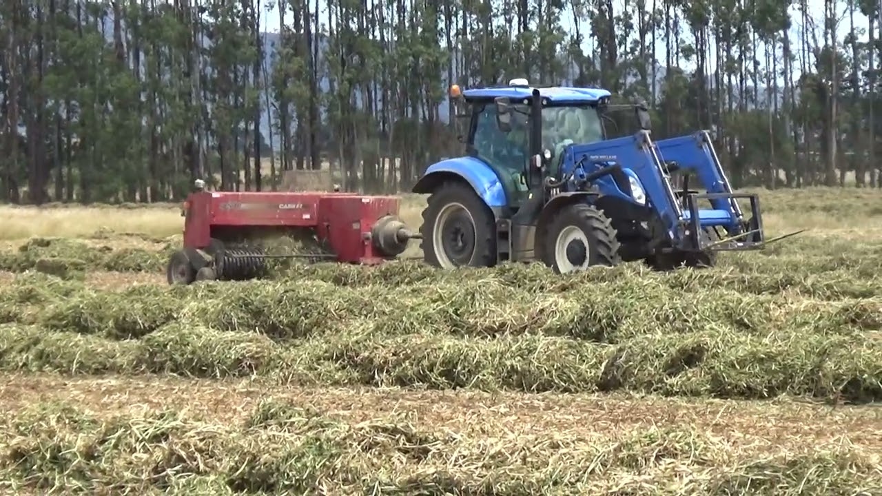 Mount View Pea Straw Baling 2026 Part 1