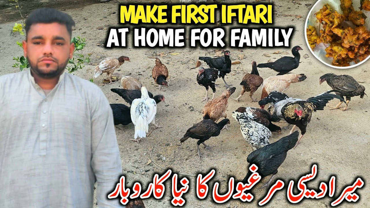 Make First Iftari At Home For Family || I Start New Business Of Desi Hens