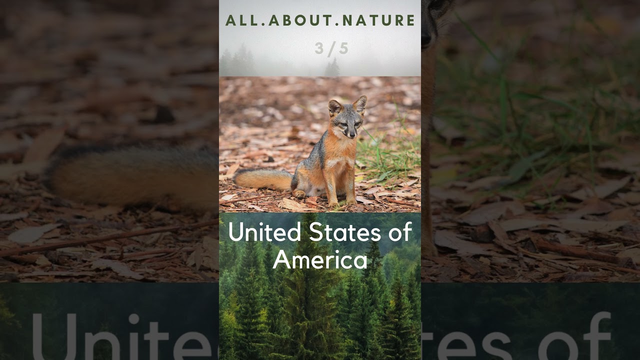 Endemic Species Quiz