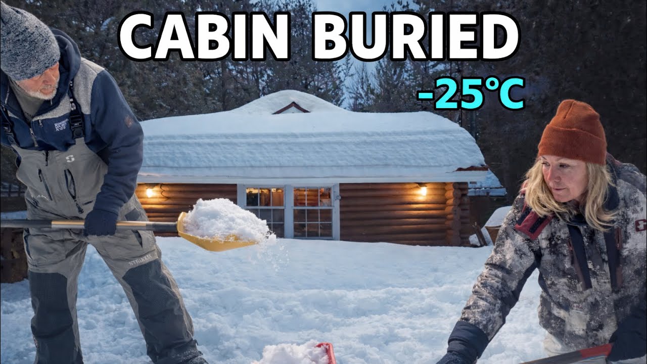 We Left Our Cabin for Months… This Is What We Found