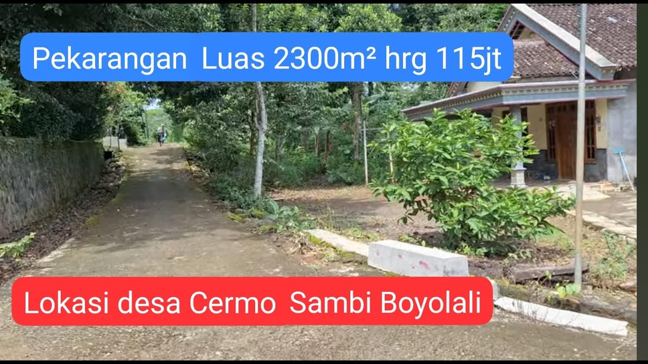 Tanah pekarangan luas ±2300m² harga 115jt. lok ds Cermo Sambi Boyolali.dekat gereja & kantor desa.