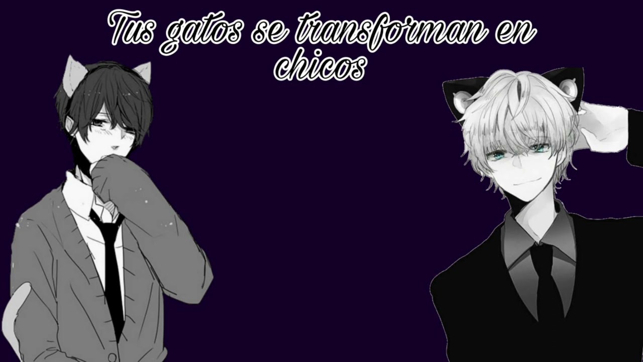 Tus gatos se transforman en chicos ~ASMR/Roleplay(para chicas) Ft @The little black cat
