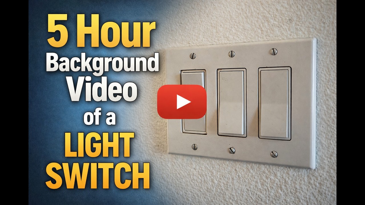 The Light Switch