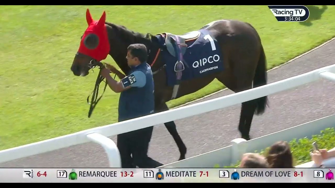 2023 /5 /7 Qipco 1000 Guineas Paddock