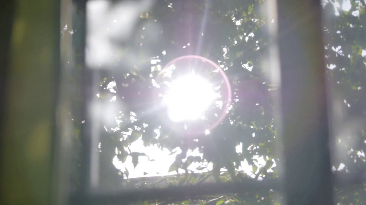 03 Free footage- window, sunlight, nature