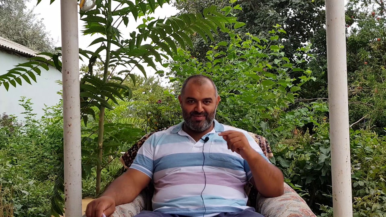 5 en yaxshi yumurtagan toyuq cinsi .Bu cinsleri saxlamaq meslehetdir.