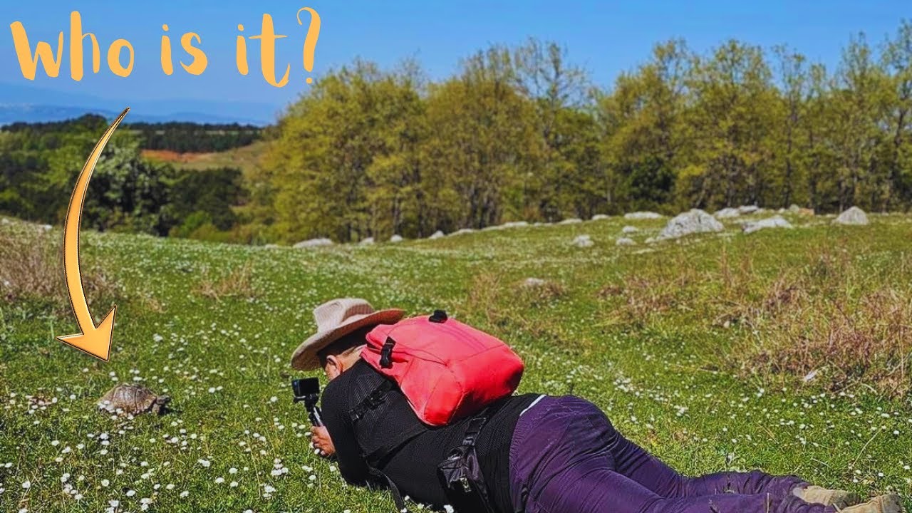 Mindful Hiking 19 Km on Uludağ