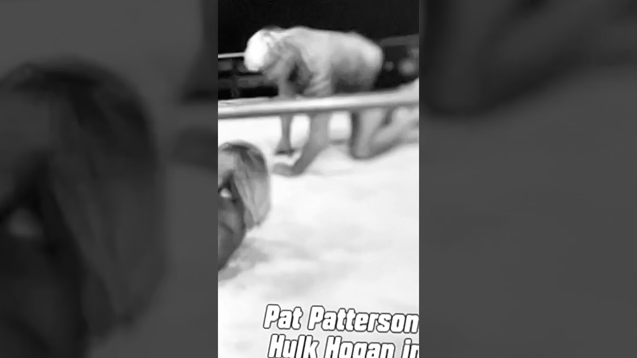 Pat Patterson Training a Very Young Hulk Hogan to a Theme Song They Both Used&hellip;