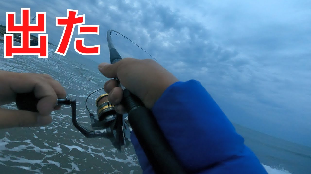 釣れると思っていなかった場所で嬉しい魚が出た
