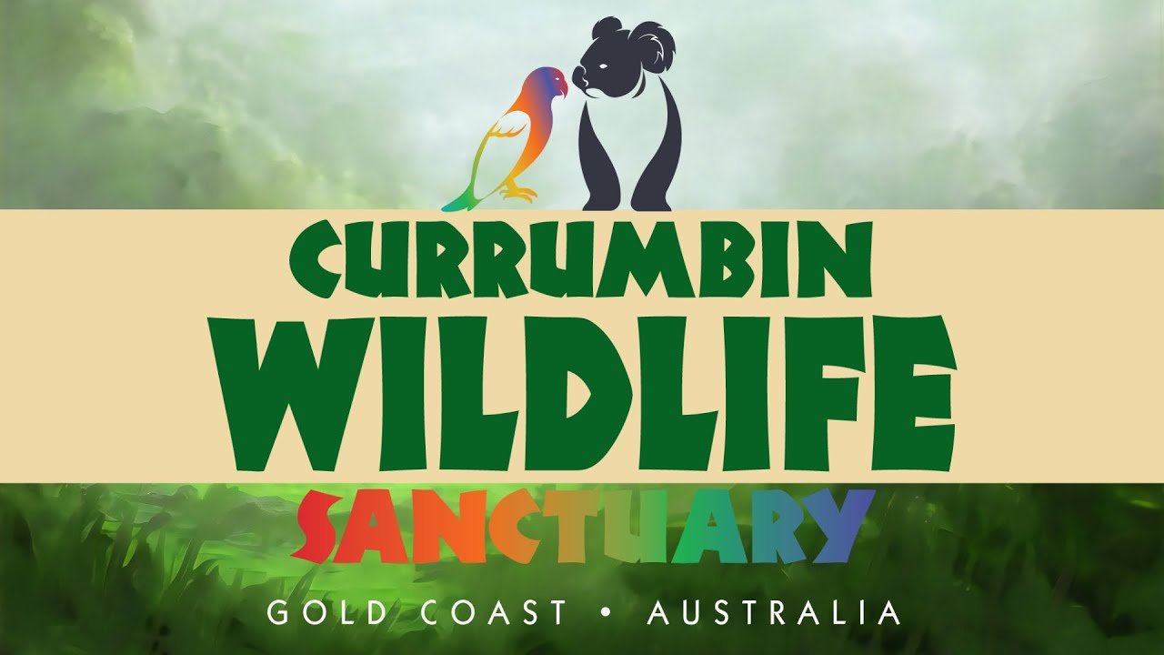 Currumbin Wildlife Sanctuary - Gold Coast, Australia.