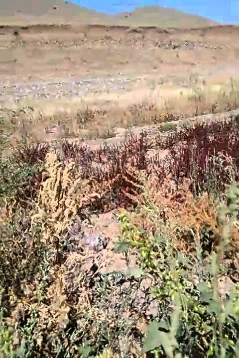 Elazığ Kovancılar Yeniköy Mezrası Sami Durgun'dan Ada Tanıtımı