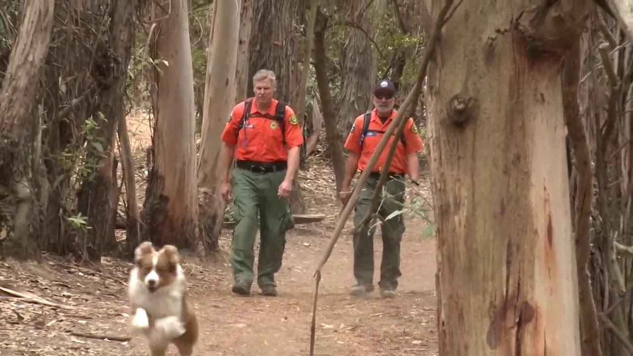 Safety Tips   Hiking
