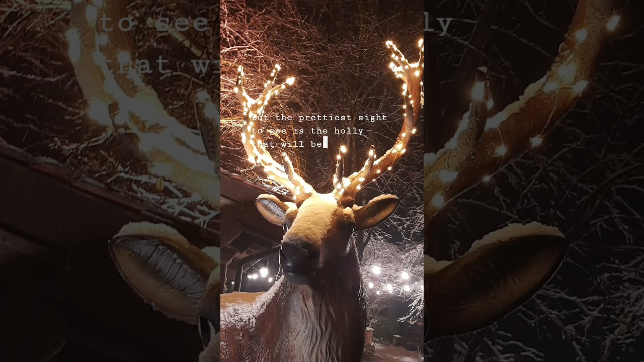 natale al Camp di Cent Pertigh-Carate Brianza