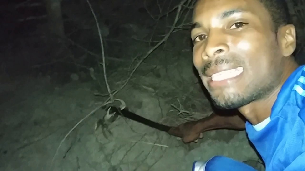 ОХОТА НА КРАБА В СЕНТ-ЛЮСИИ 🇱🇨